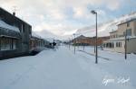 0311_SvalbardNatur_001.jpg